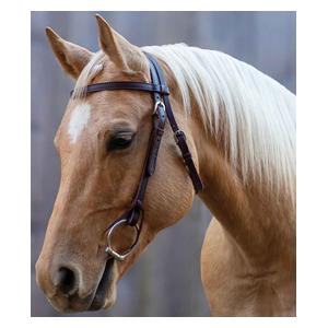 Velociti Browband Horse Headstall Shires Equestrian